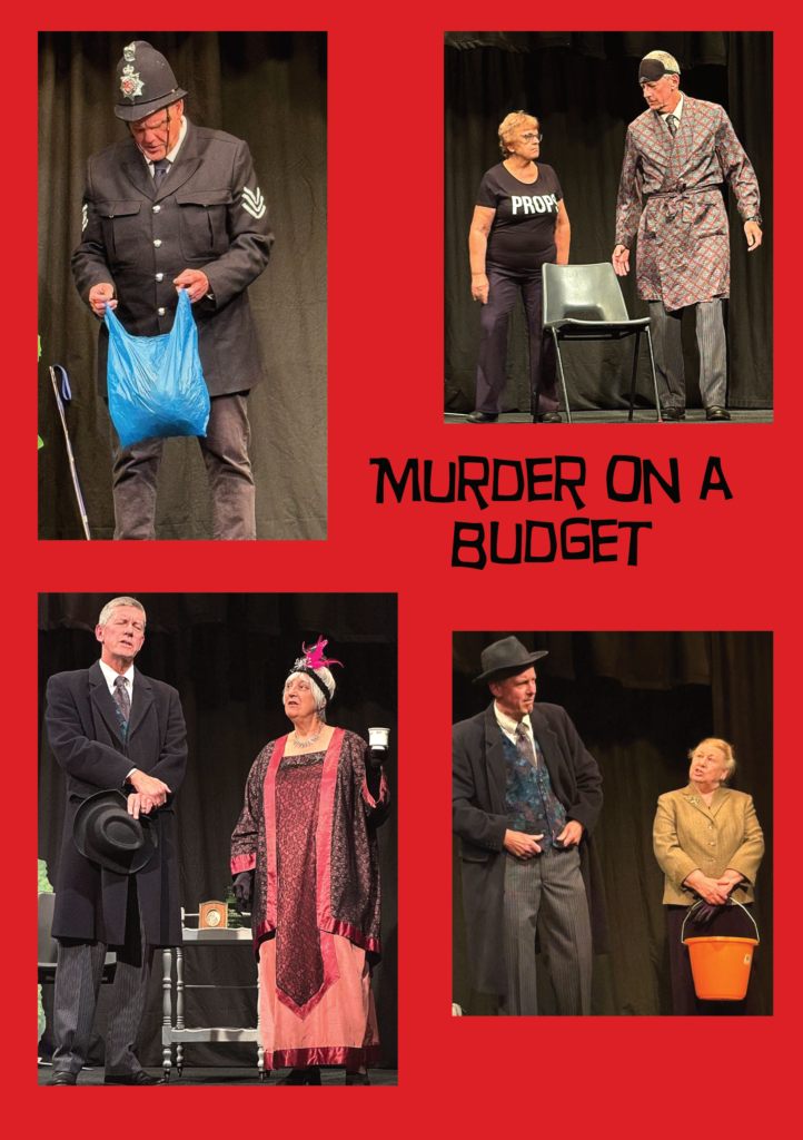 Murder on a Budget 1