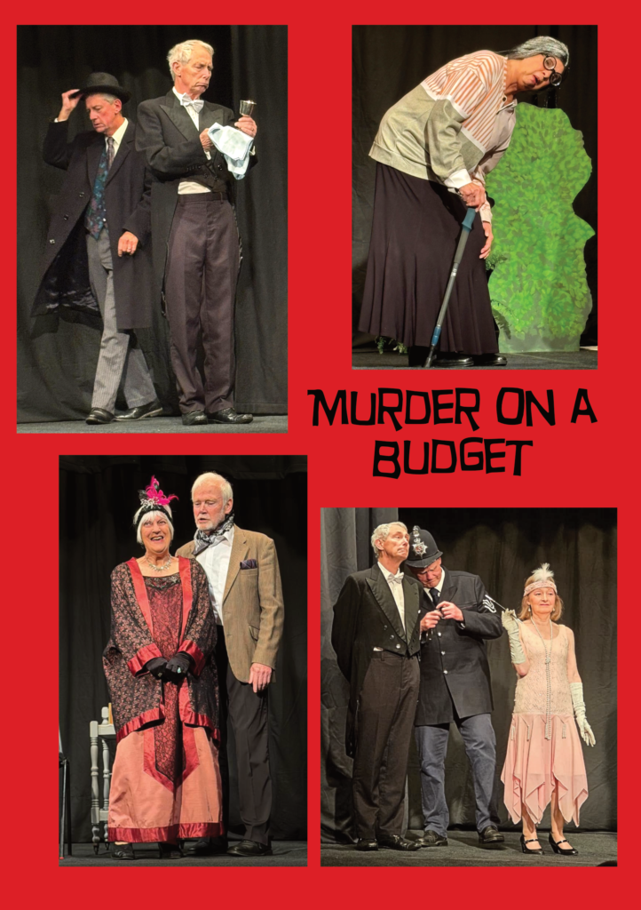 Murder on a Budget 2